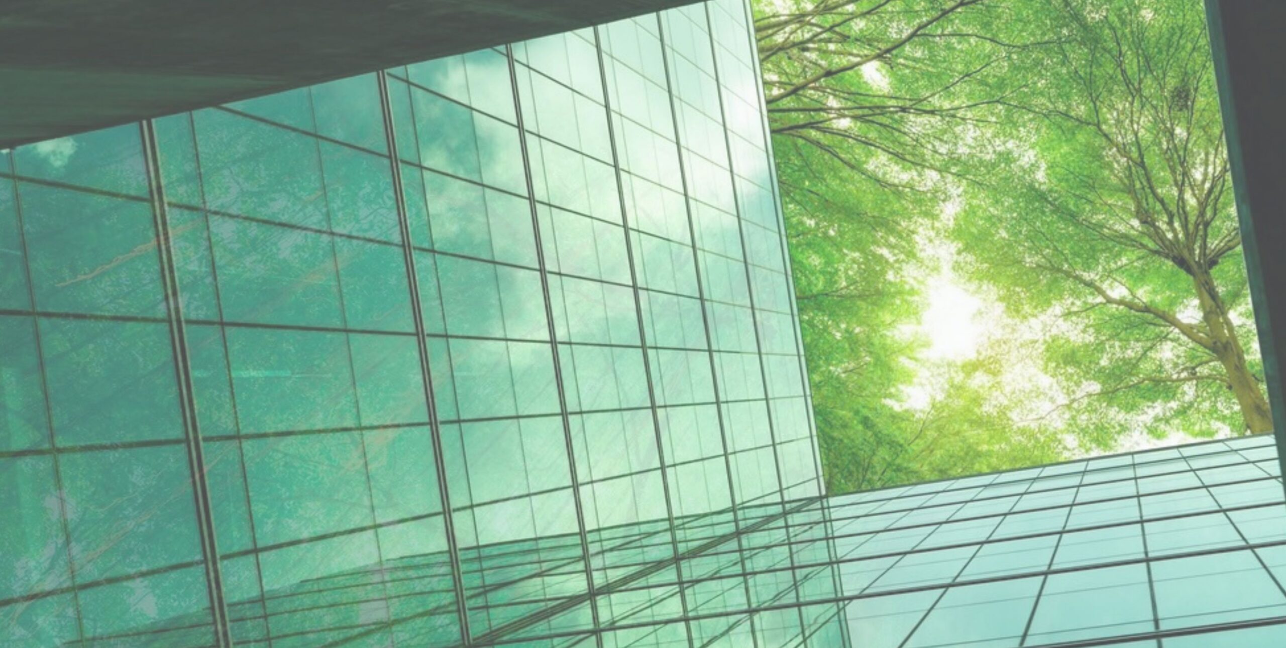 Key takeaways from the Building for the Future event